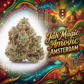 Amsterdam | Jah Magic | 3.5g
