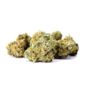 CLAYBOURNE - Flower - Mule Fuel - Premium Small Buds - 14G