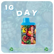 High Flavor | Strawberry Watermelon Punch (S) - Disposable 1g