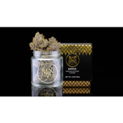 MAVEN GENETICS: Orange Bellini 3.5g (S)