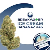 [MED] Breakwater | Ice Cream Bananaz #46 | 7g Flower