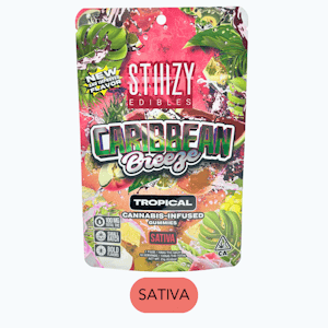 STIIIZY - Stiiizy - Mylar - Caribbean Breeze - Gummies - 10pk - 100mg