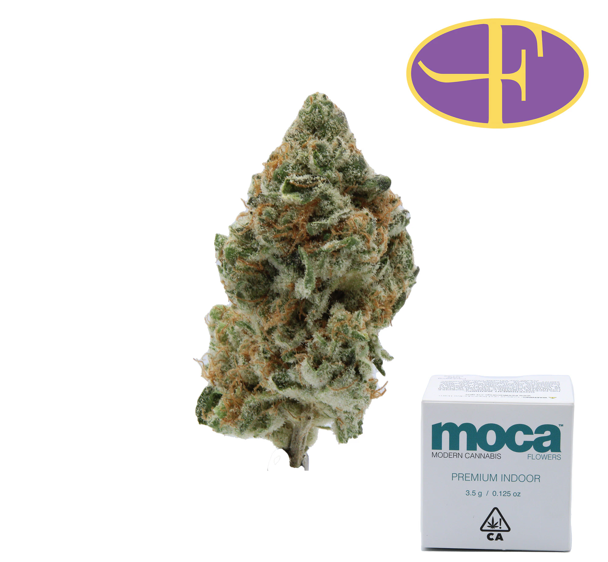 Moca - Orangeade Main Image
