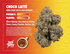 Chocolatte - 7g (I) - Seed Junky