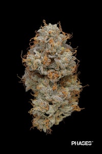 PHASES - High Frequency - 3.5g (S) - PHASES