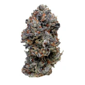 ANIMAL FACE - 3.5 g - Sample