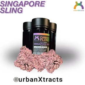 UrbanXtracts | Flower - Singapore Sling | 14g
