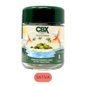 CBX - Tropicanna - Flower - 3.5g