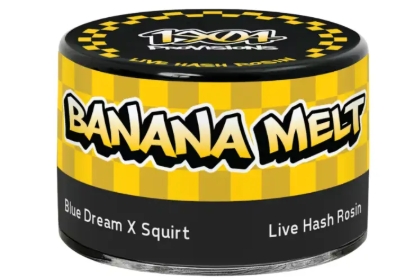 Concentrate - Banana Melt - Live Rosin - 1G