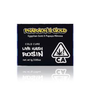 1904 PROVISIONS - Concentrate - Pharaohs Gold - Live Rosin - 1G