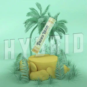 Papa's Herb - Papa's Herb White Runtz Infused Preroll 1g