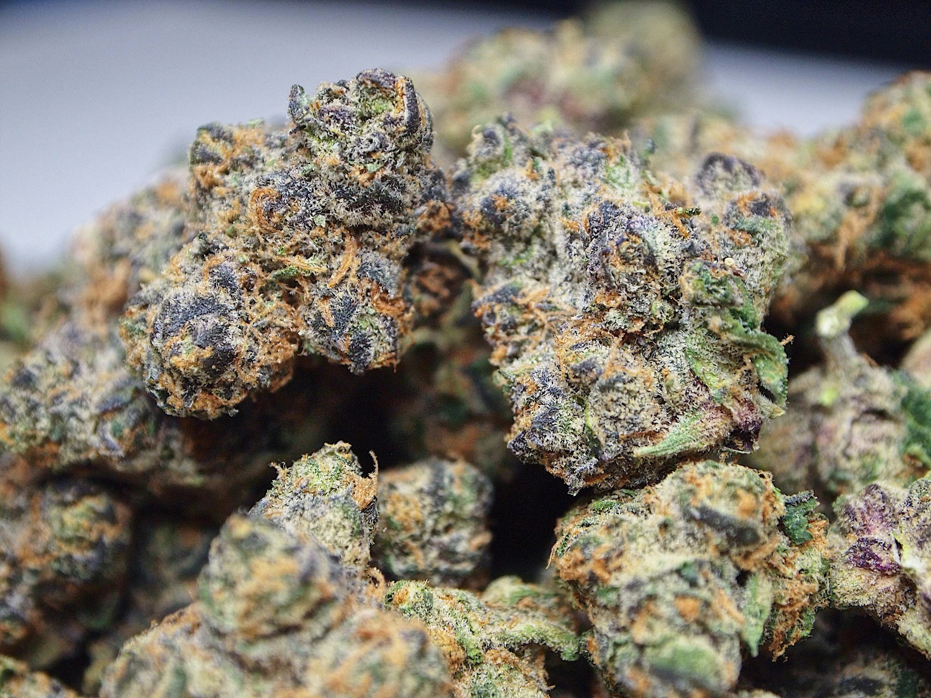 High Tide Organics - Apple Fritter Main Image