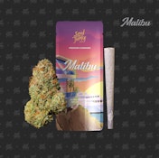 Malibu - Preroll - 1g