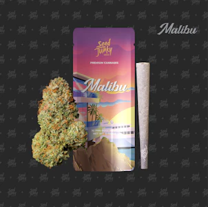 SEED JUNKY - Malibu - Preroll - 1g