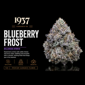 1937 | 3.5g Mylar | Blueberry Frosting