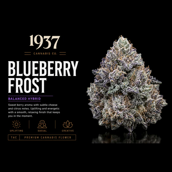 1937 - 1937 | 3.5g Mylar | Blueberry Frosting Main Image