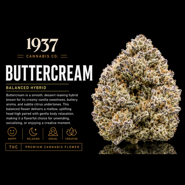 1937 - 1937 | 3.5g Mylar | Buttercream Main Image