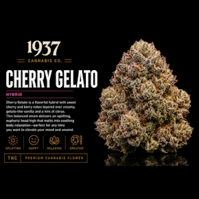1937 | 3.5g Mylar | Black Cherry Gelato