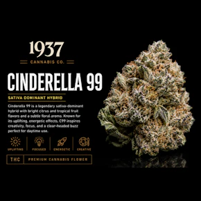 1937 | 3.5g Mylar | Cinderella 99