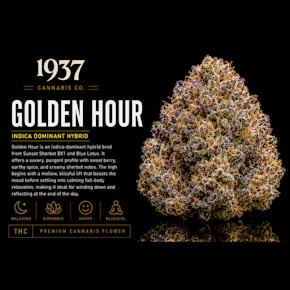 1937 | 3.5g Mylar | Golden Hour