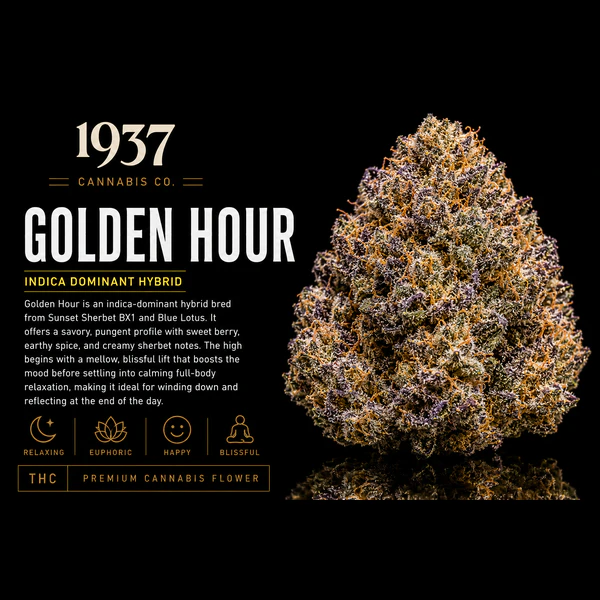 1937 - 1937 | 3.5g Mylar | Golden Hour Main Image