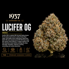 1937 | 3.5g Mylar | Lucifer OG
