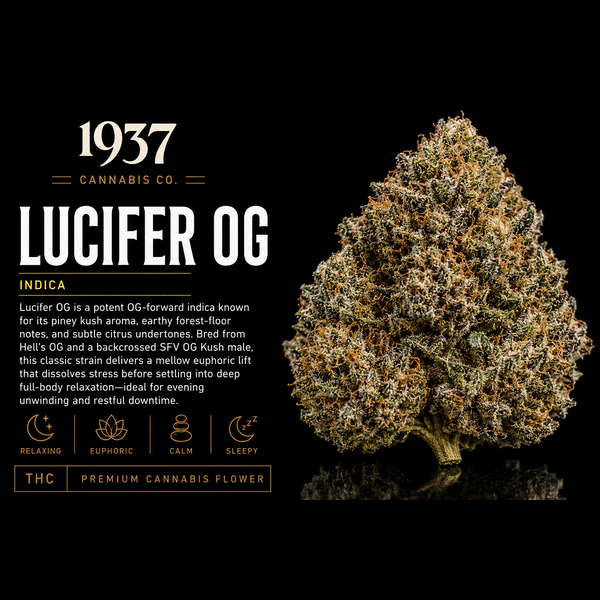 1937 - 1937 | 3.5g Mylar | Lucifer OG Main Image