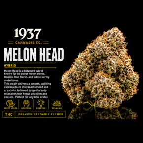 1937 | 3.5g Mylar | Melon Head