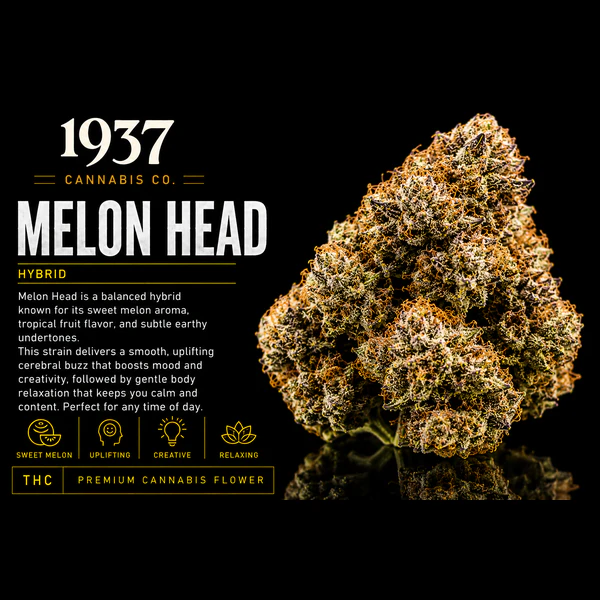 1937 - 1937 | 3.5g Mylar | Melon Head Main Image