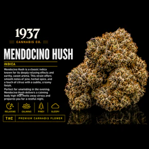 1937 | 3.5g Mylar | Mendocino Hush