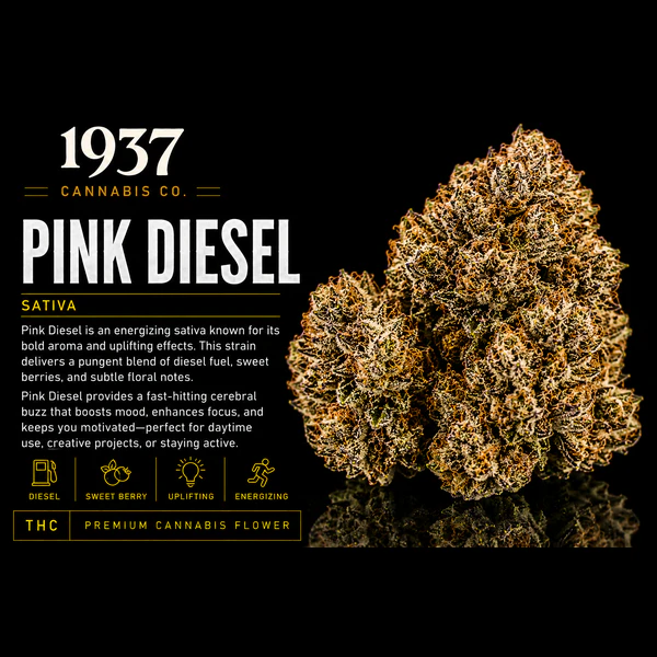1937 - 1937 | 3.5g Mylar | Pink Diesel Main Image