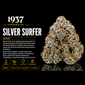 1937 | 3.5g Mylar | Silver Surfer