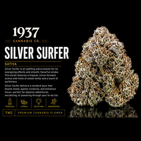 1937 - 1937 | 3.5g Mylar | Silver Surfer Main Image