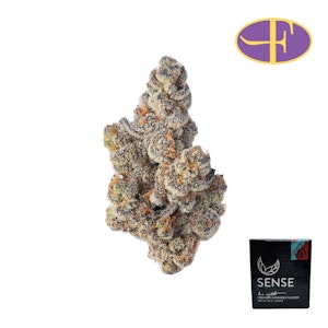 SENSE - Glitter Bomb