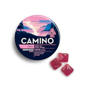 Camino - Wild Berry Chill - Gummies - 20 x 5mg
