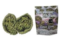 Lunar Gem Moon Rocks 2g