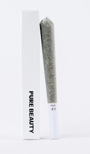 PURE BEAUTY - Pure Beauty Preroll 1g Gush Mints CBD 1:1