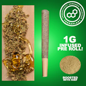 THERAPLANT - Garlato Infused PR 4778