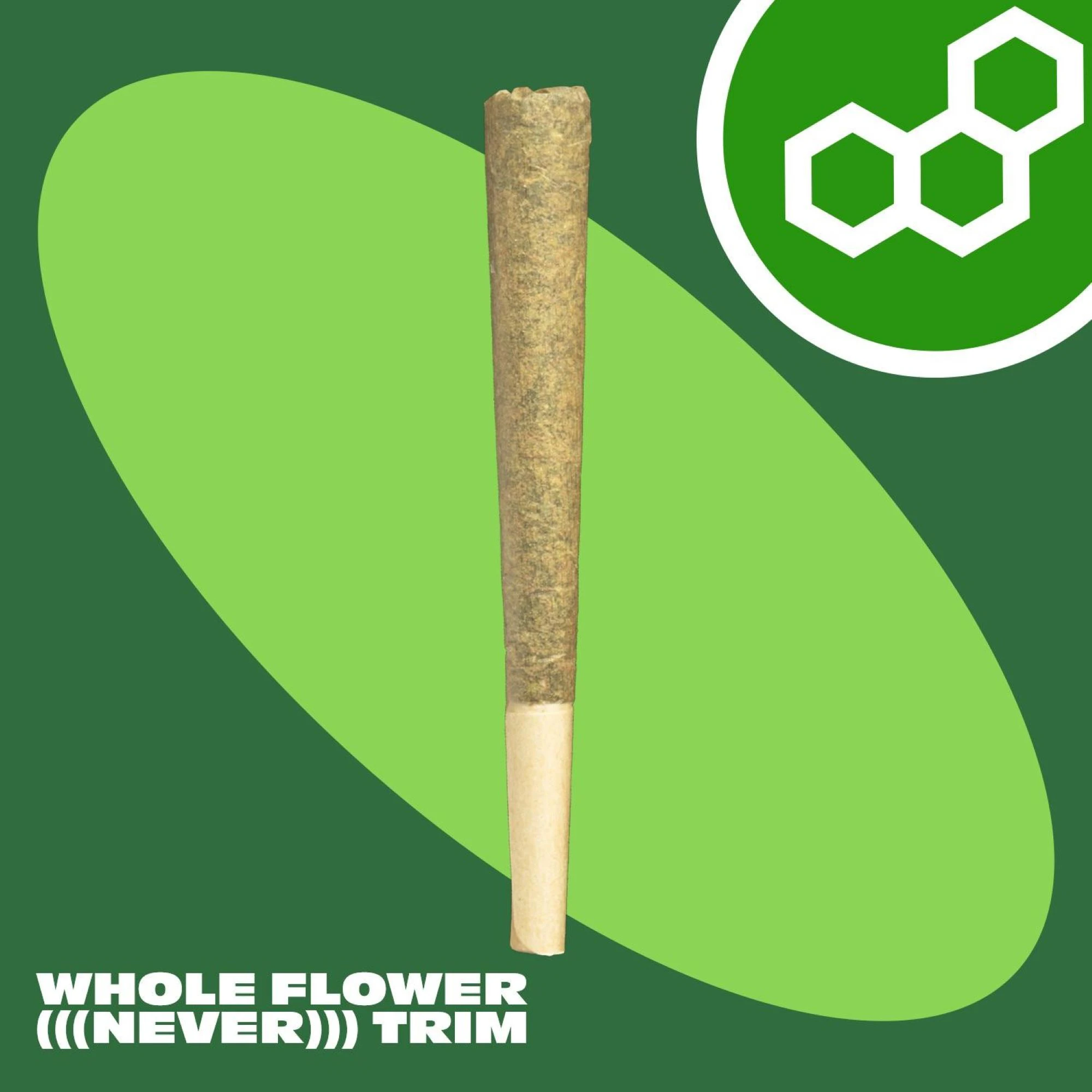 Theraplant - Garlic Fuel 1g PR 42071 Main Image