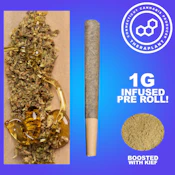 Jelly Brains 1g Infused PR 41691