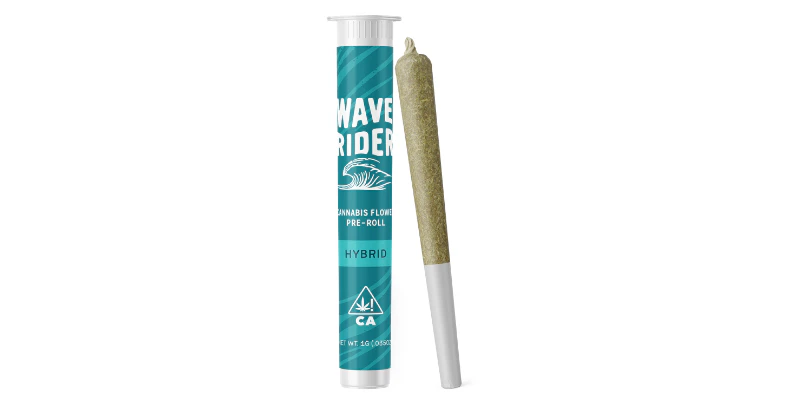Wave Rider - Modified Mintz Single Main Image