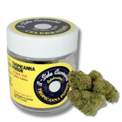 B-Side - Tropicanna Poison - Flower - 3.5g