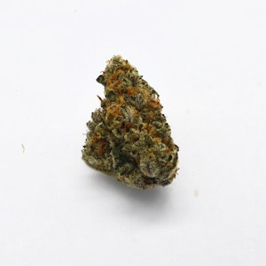 COASTAL HEALING - Wicked Lime Flower - 3.5g - COH