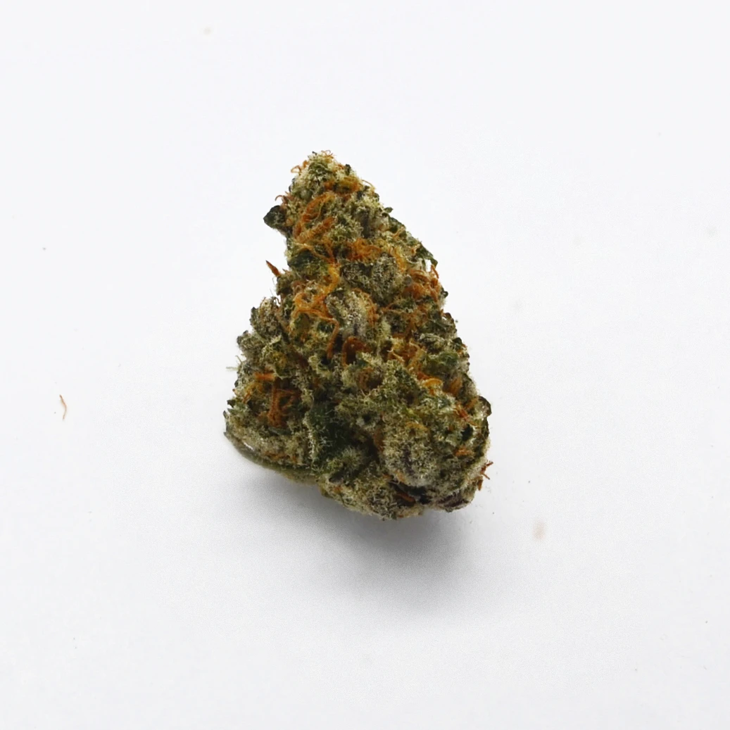 COASTAL HEALING - Wicked Lime Flower - 3.5g - COH Main Image