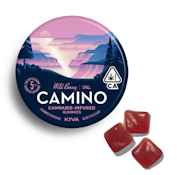 CAMINO - WILD BERRY 100MG - KIVA CONFECTIONS