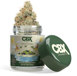 CBX 3.5g Tropicanna