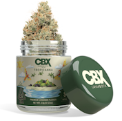 CBX: TROPICANNA 3.5G