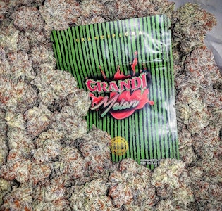 Grandiflora - Grandi Melon  - 3.5g (H) - Grandiflora