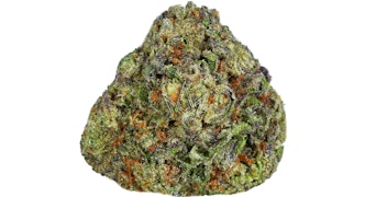 West Coast Cure - White Gushers Premium Flower - 3.5g