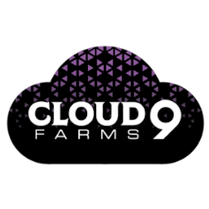 CLOUD 9 FARMS - Cloud 9 | Lemon Cake | DOH | 3.5g